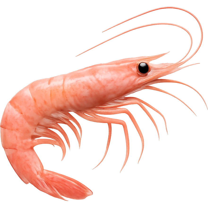 pink shrimp, no background emoji