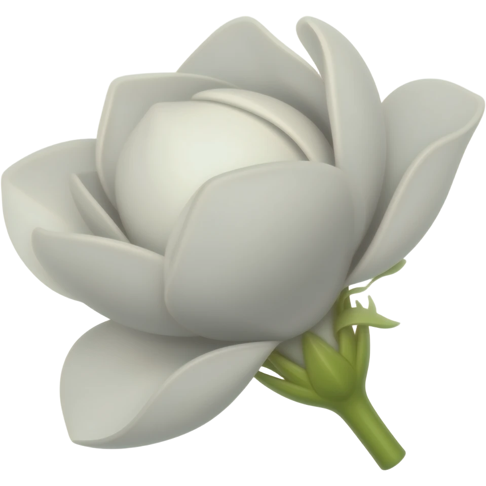 Wight Jasmin flower emoji