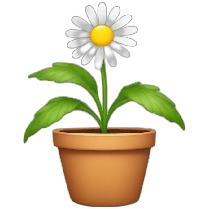 Daisy flower in a pot emoji
