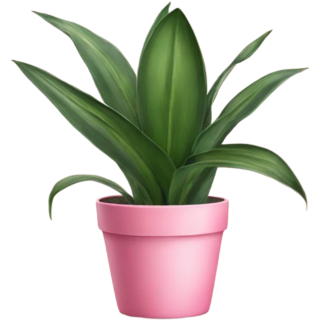 Snake plant in pink pot emoji