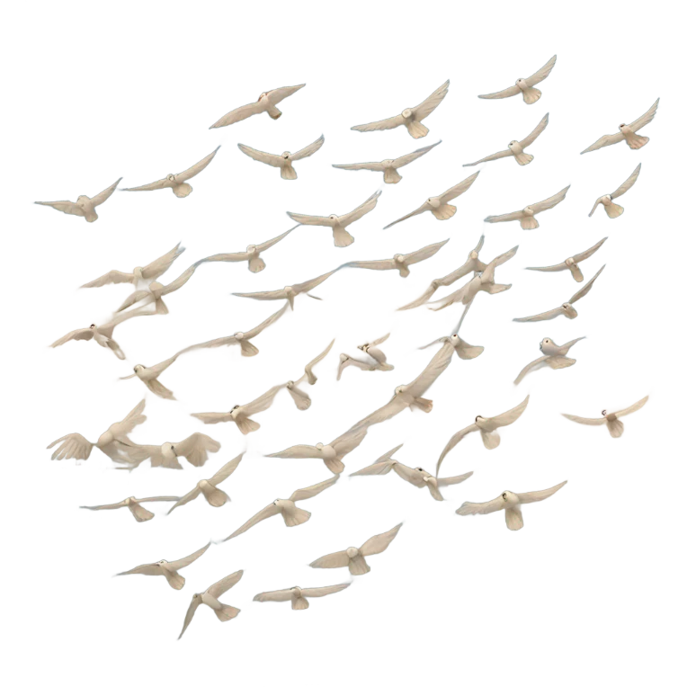 birds migrating emoji