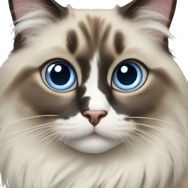 Ragdoll cat emoji