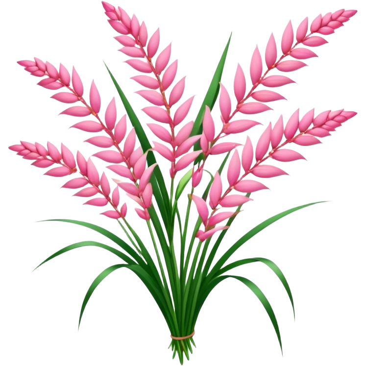 big bouquet pink Saccharum Grass Flower flower, stem, leaf emoji