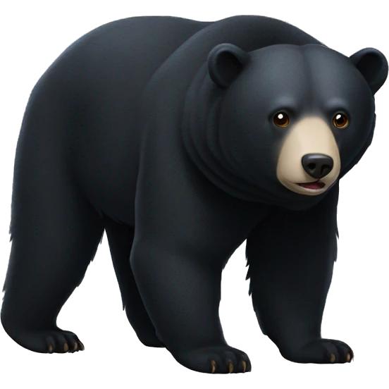 moon bear emoji