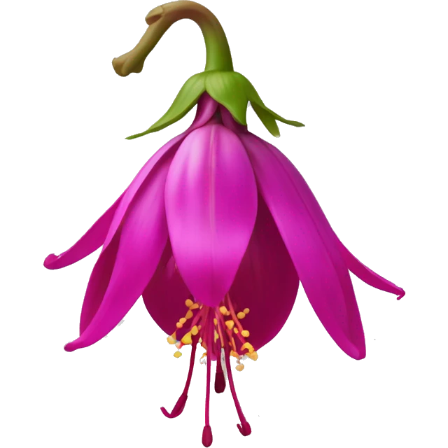 Hybrid Fuchsia emoji