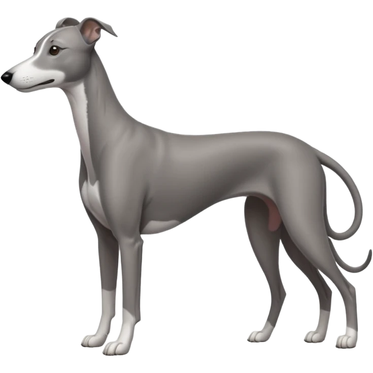 greyhound emoji
