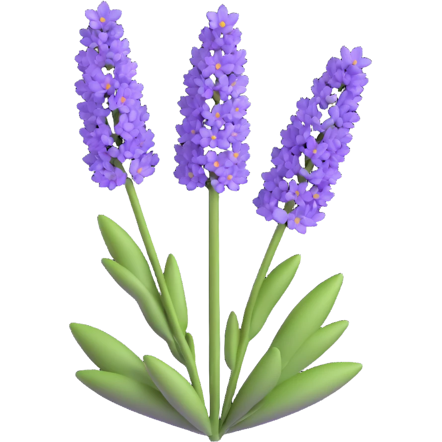 lavender flower emoji