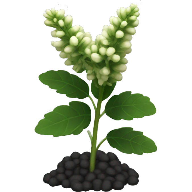 Black Cohosh plant emoji