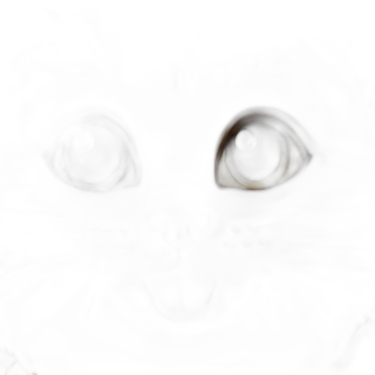 Cute cat smiling and eyes look at righ emoji