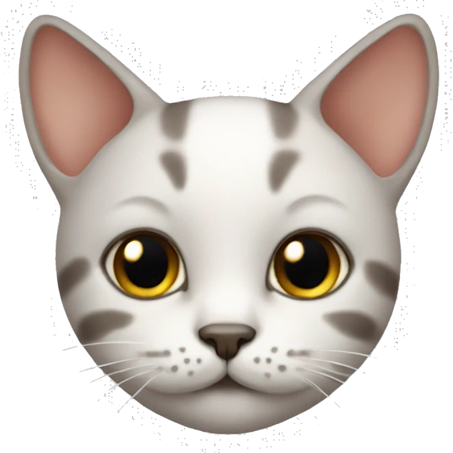 A cute cat emoji emoji