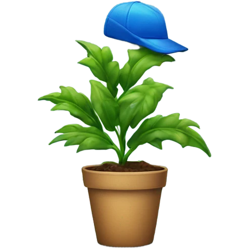 A plant wearing a blue hat emoji