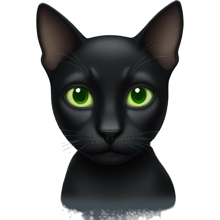 Black cat with green eyes  emoji