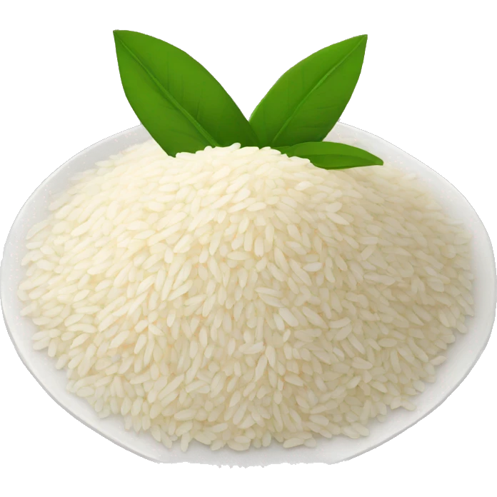 PAKISTANI RICE BYRIANI emoji
