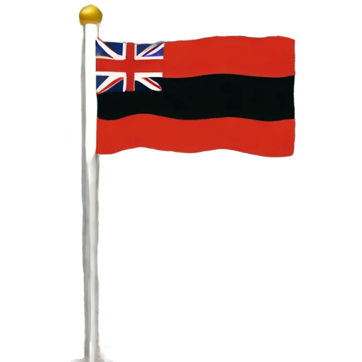 Māori flag  emoji