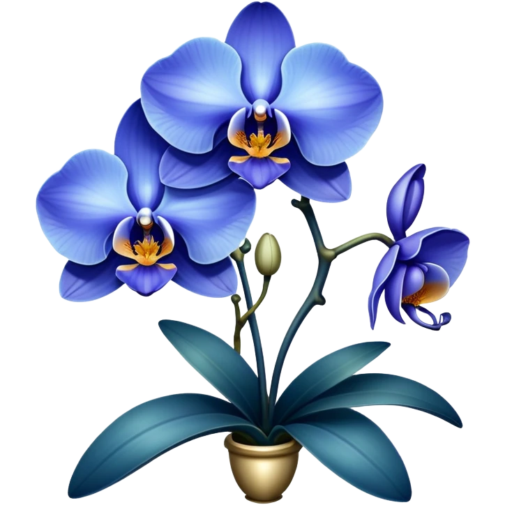 Блакитна орхідея  emoji