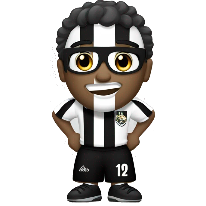 Botafogo campeão  emoji