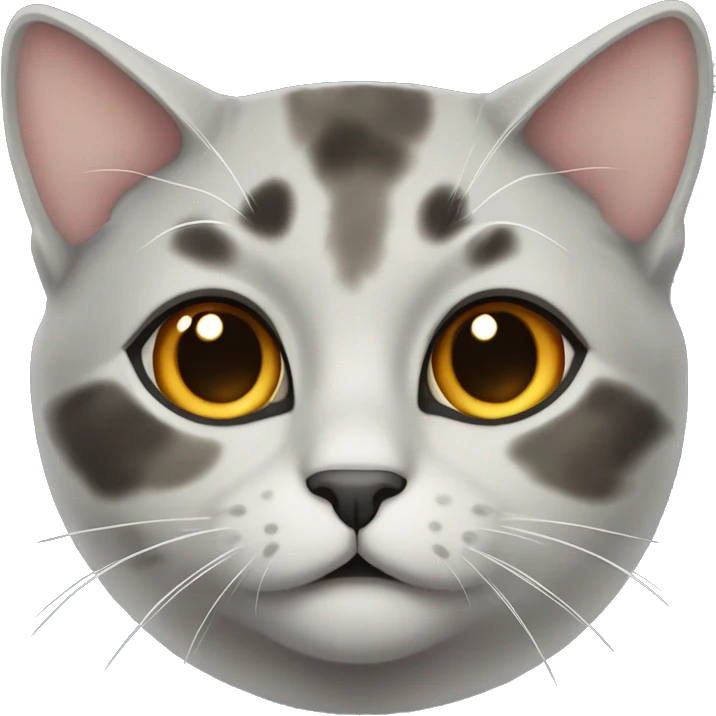 Dilute grey tortoiseshell cat emoji