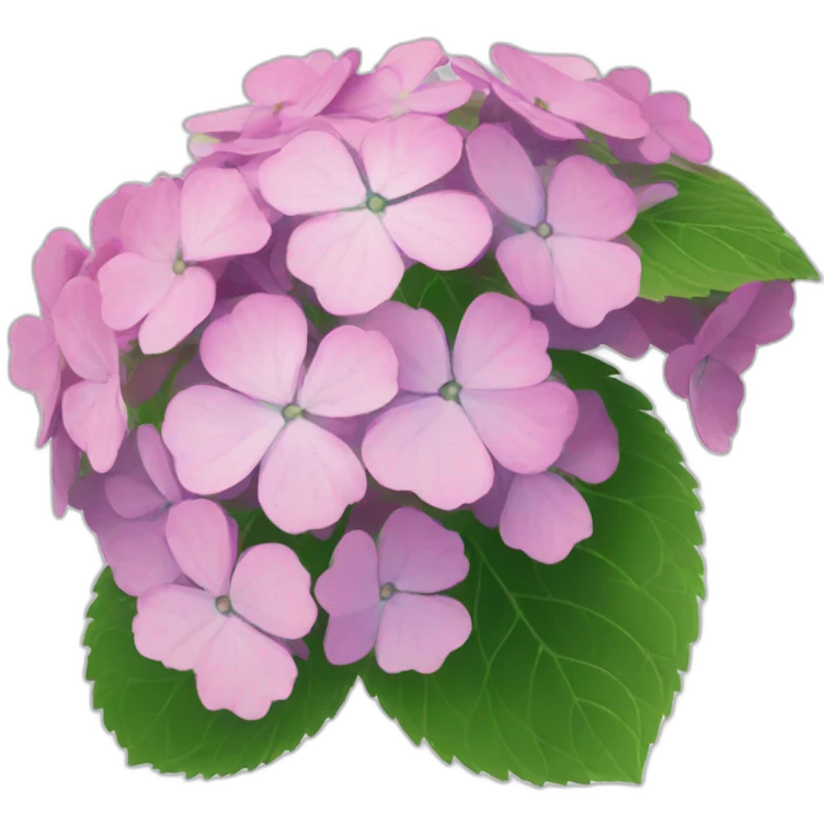 flower hydrangea japan emoji