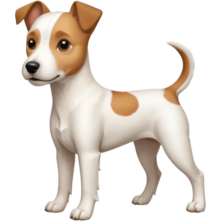 a full body large white parson russell terrier looking dog the size of a kelpie with light brown big ears and a light brown patch on one eye and a large snout emoji