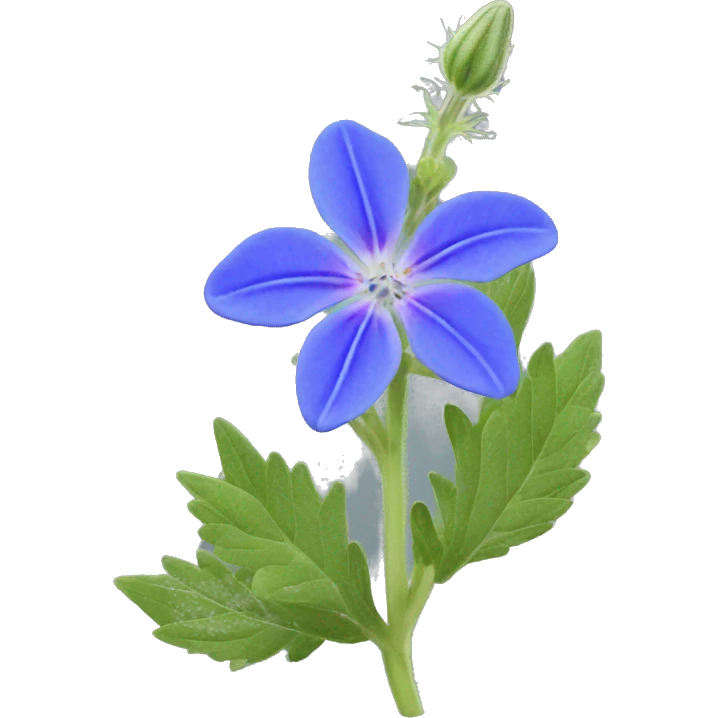 borage flower WITH HIGH SATURATION emoji