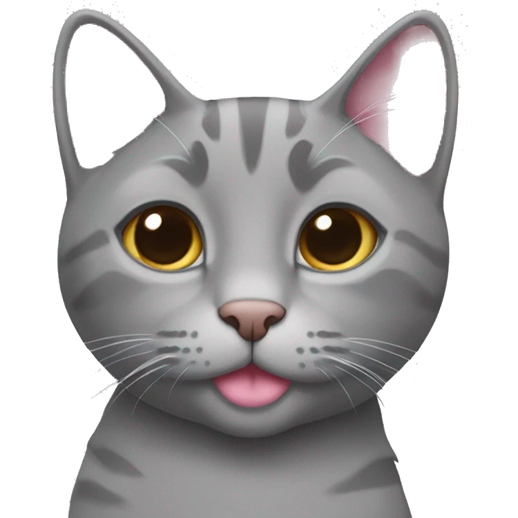Grey cat with pink 🎀 emoji