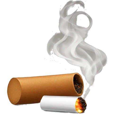 smoking accessories  emoji
