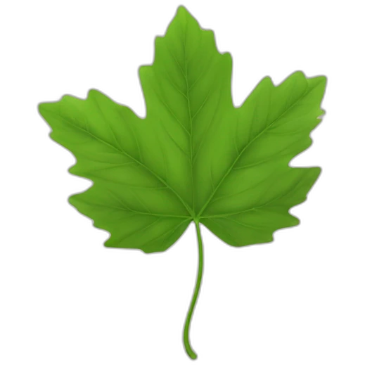 Une feuille d’érable japonais verte emoji