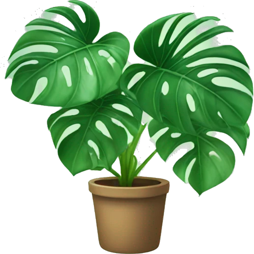 Monstera plant emoji