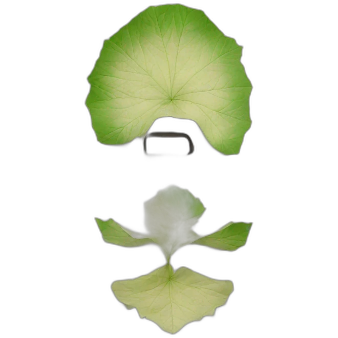 Canabis-paper emoji