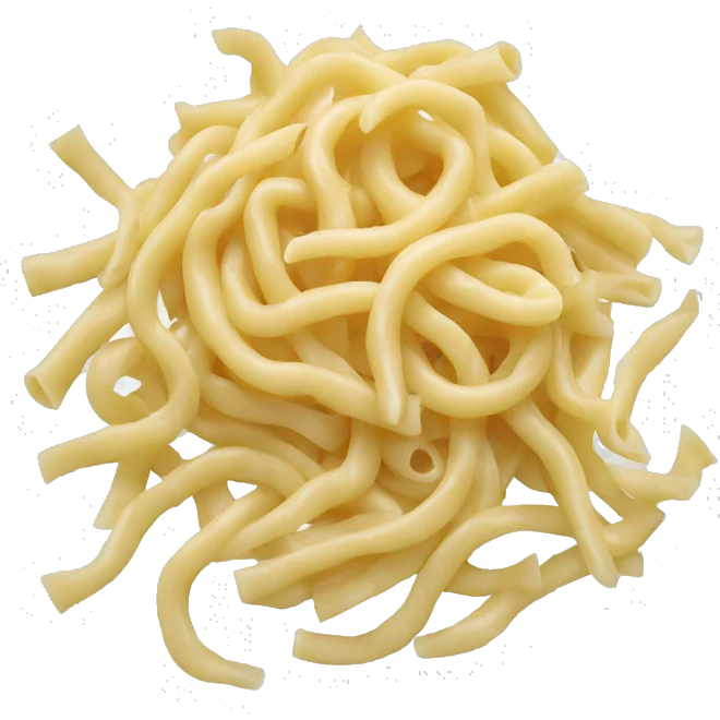 uncooked noodles emoji