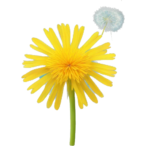 dandelion emoji