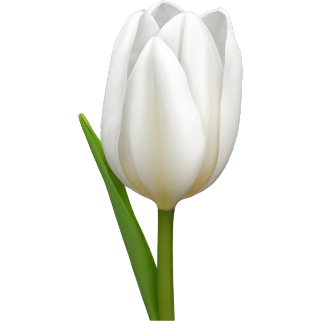 white tulip  emoji