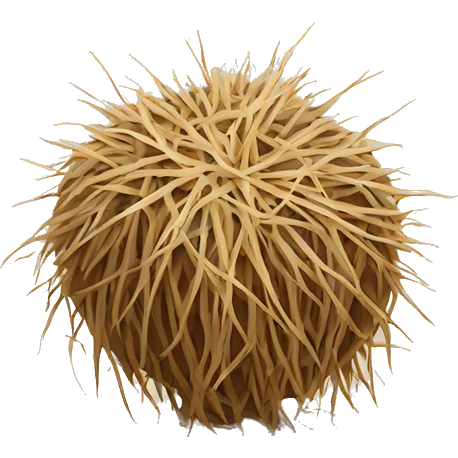 desert tumbleweed emoji