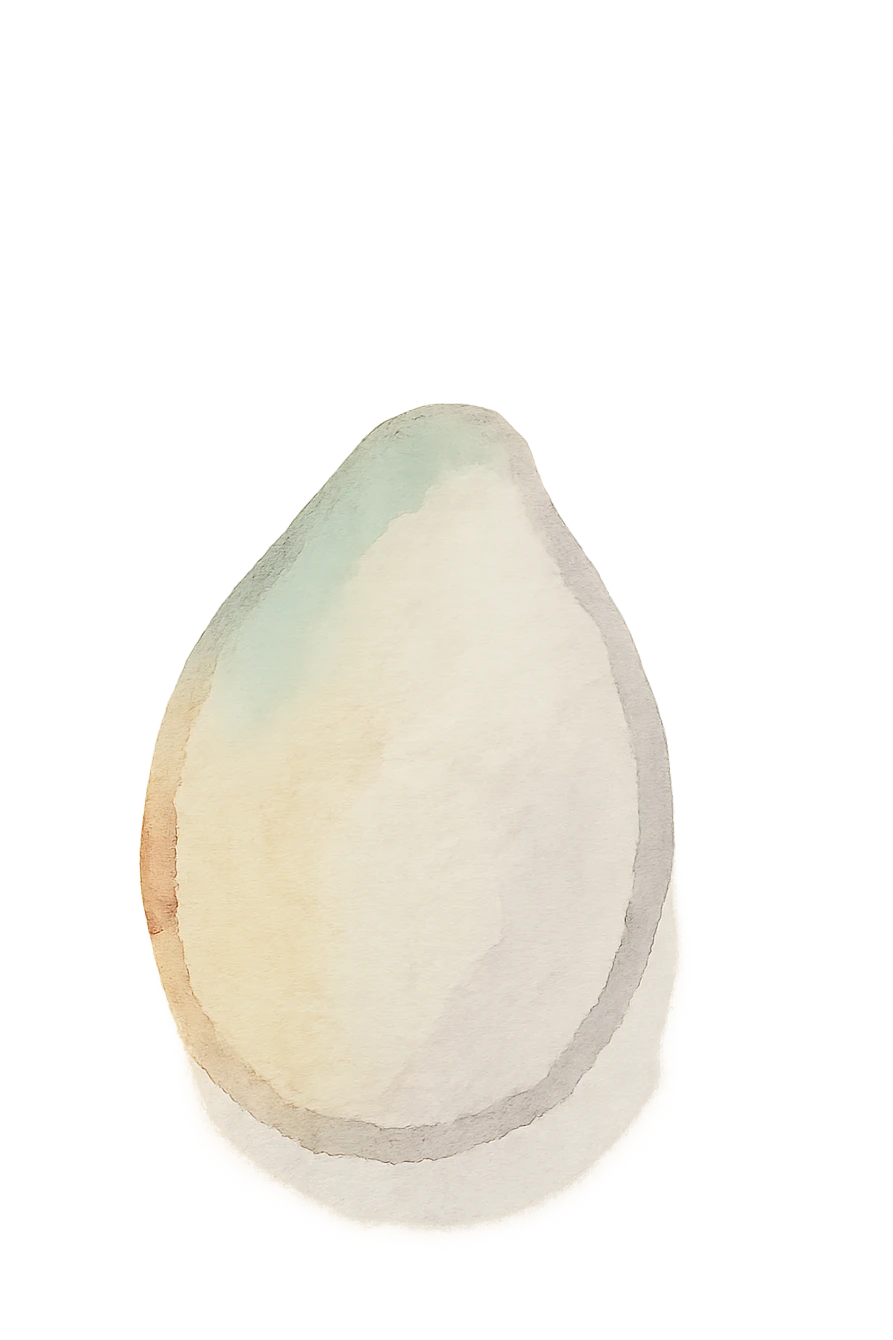 a single sesame seed, watercolor illustration emoji