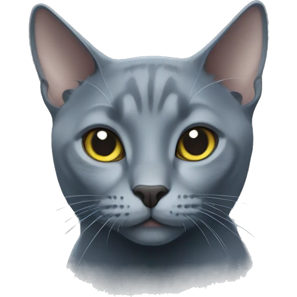 Russian blue cat  emoji