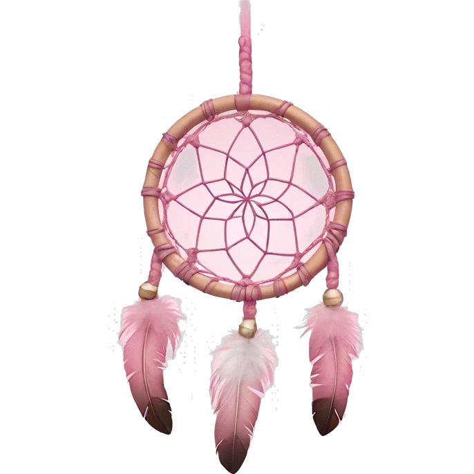 baby pink dream catcher with feathers  emoji