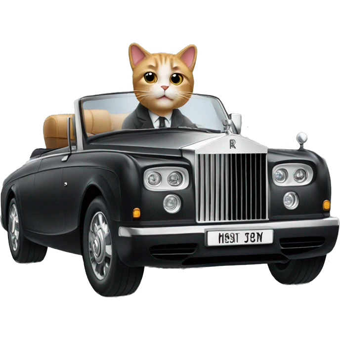 A cat driving rolls royce emoji