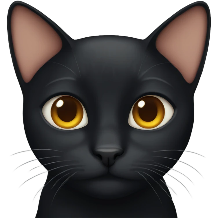 Black cat with ginger eyebrow emoji