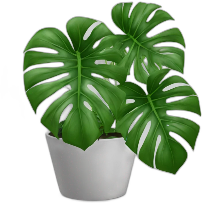 Plante monstera pas contente   emoji