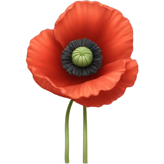 Poppy with white ribbon  emoji