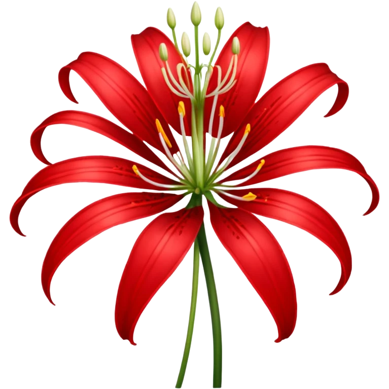 Spider lily  emoji