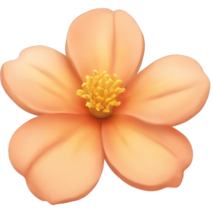 Peach colour Flower🌺 emoji