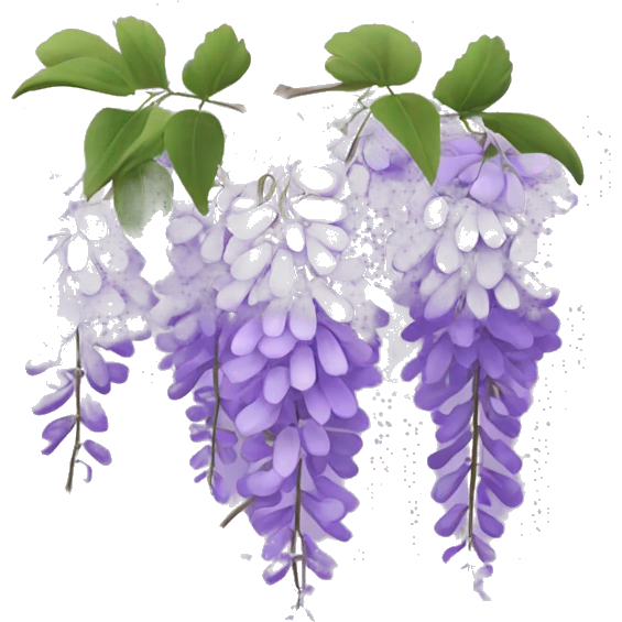 Bridgerton Inspired Emoji : Wisteria – Purple wisteria flowers from the Bridgerton family home, perfect for adding a touch of beauty. emoji