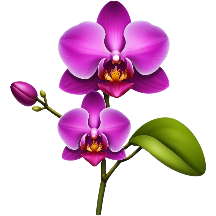 Orchid emoji
