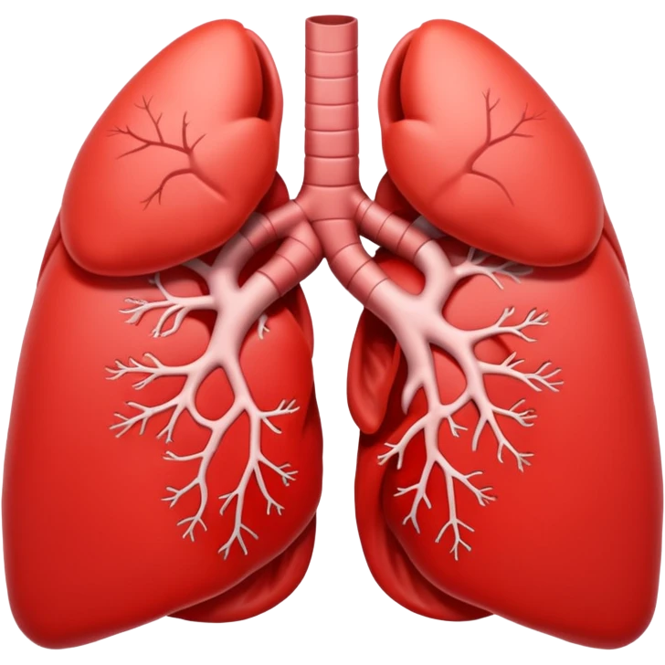 very simple not realistic lungs emoji emoji