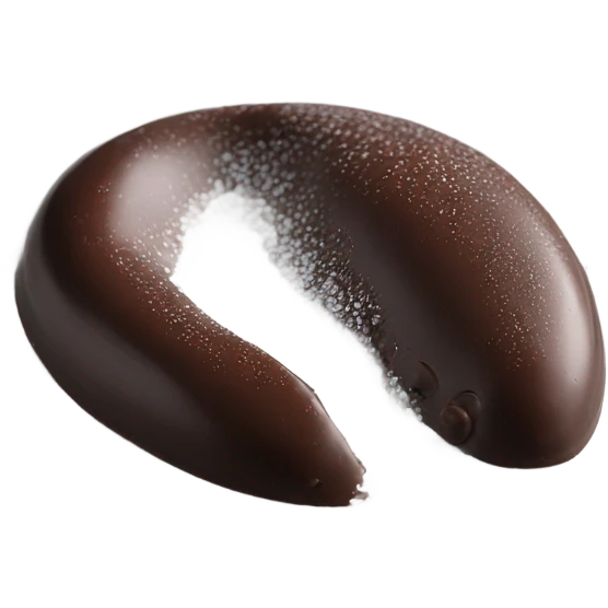 chocolate quenelle on plate with salt flakes sprinkled on top emoji