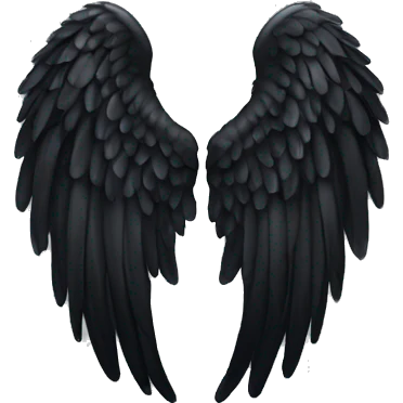 black angel wing emoji