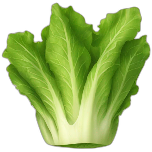 lettuce cup emoji