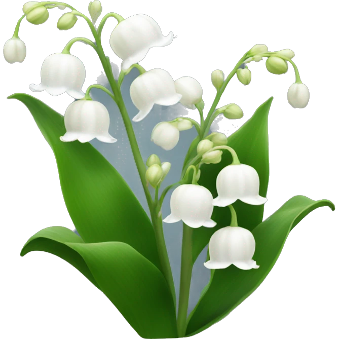 White lily of the valley flower  emoji