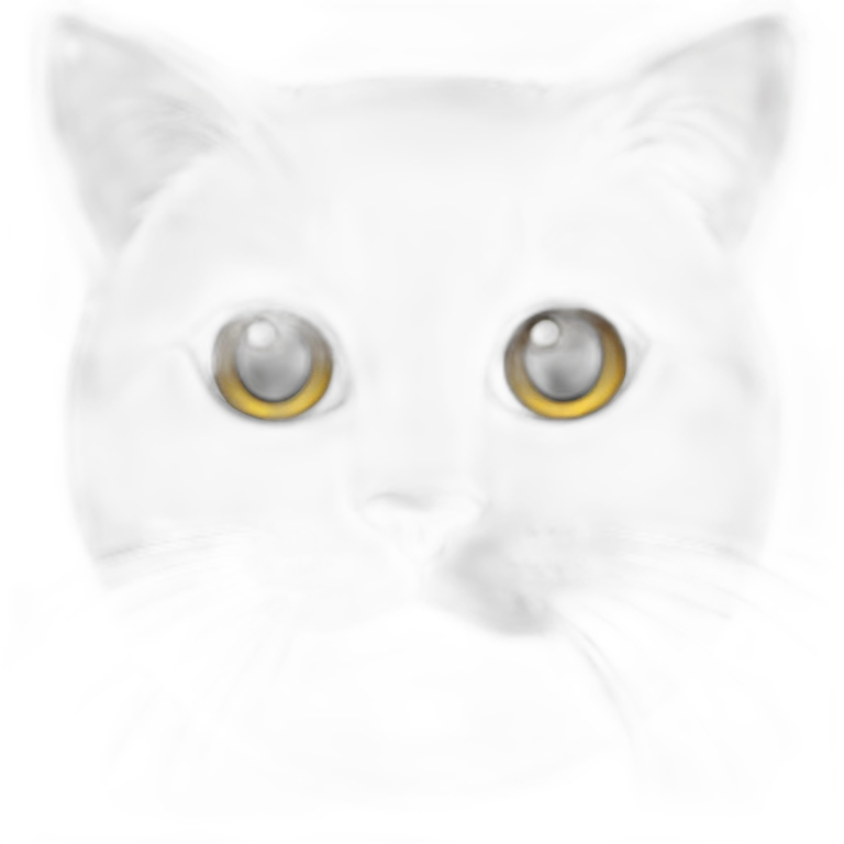 lack-and-white-cat-black-forehead emoji